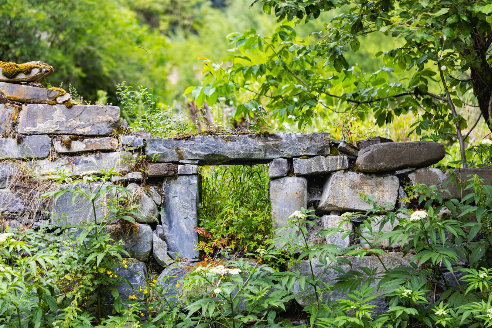 Eco Village in Glola — photo 9