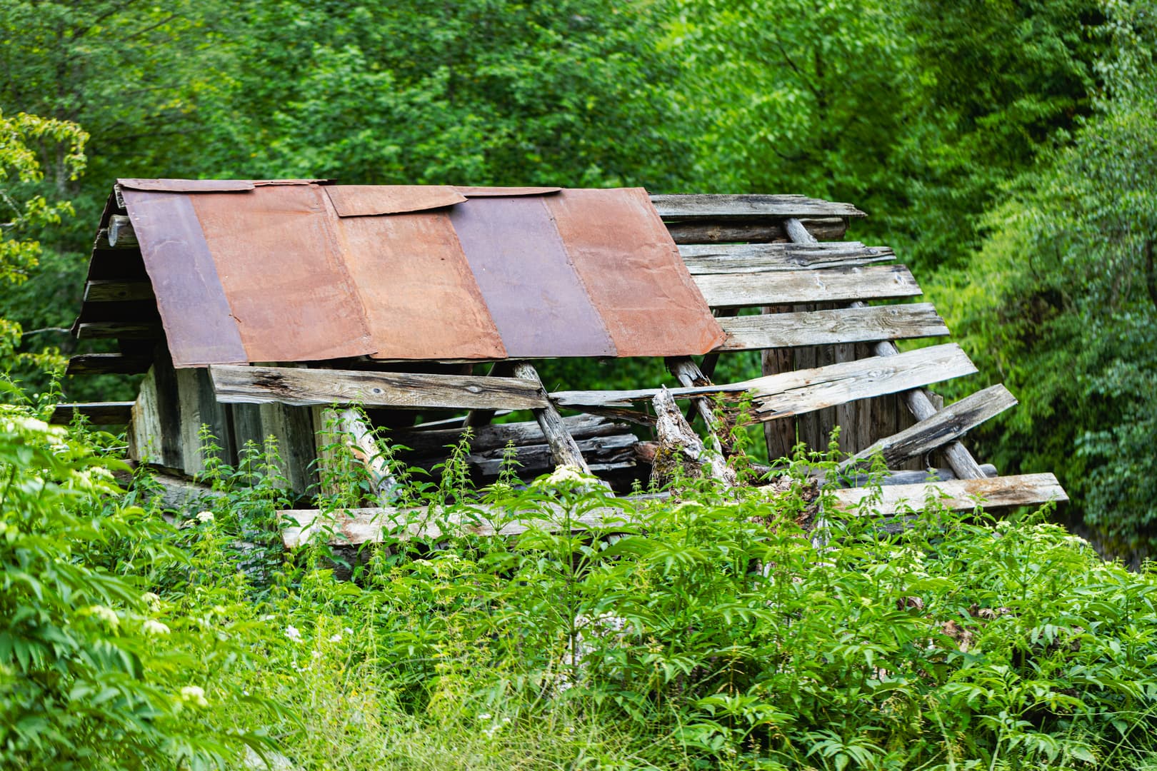 Eco Village in Glola — photo 10