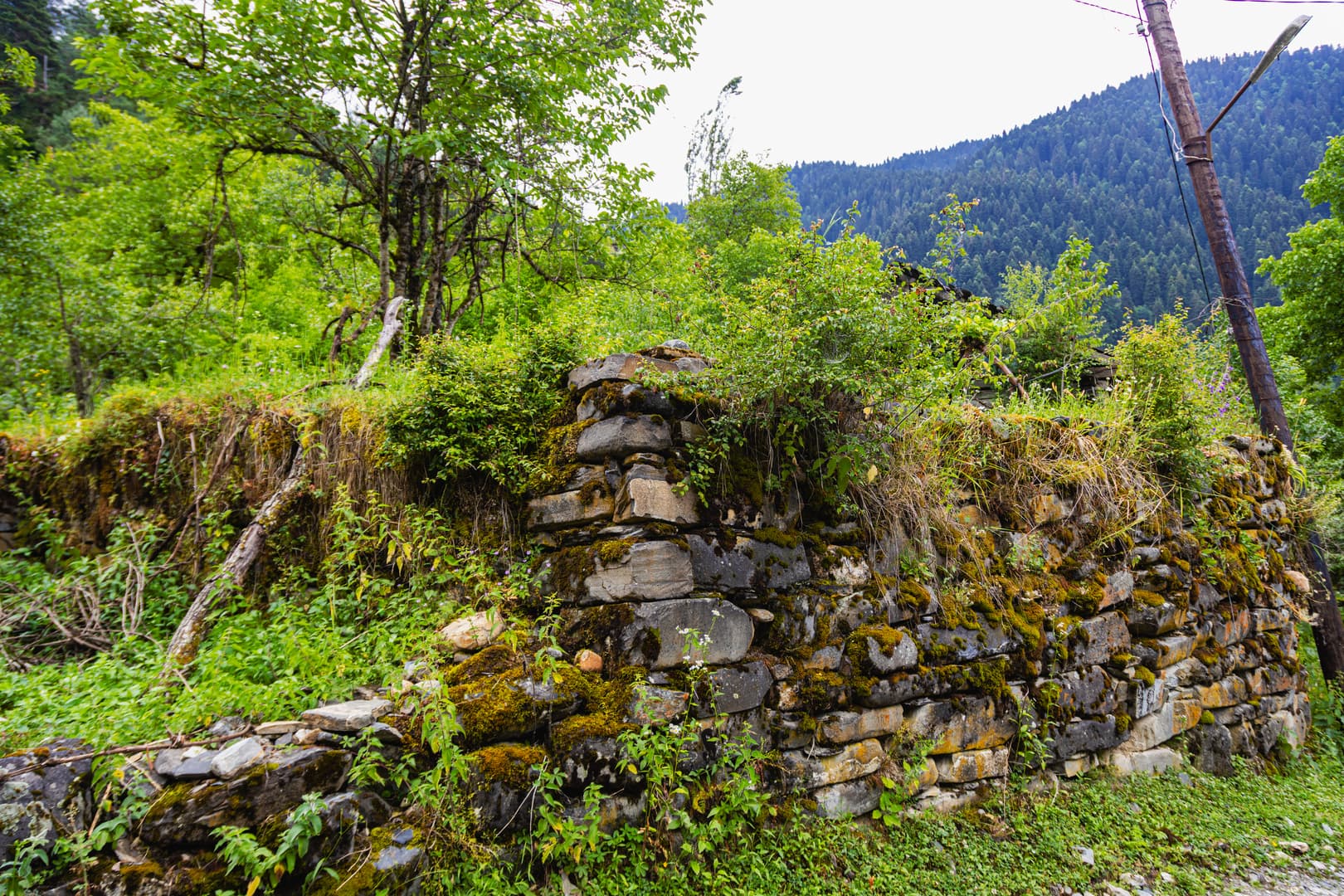 Eco Village in Glola — photo 13