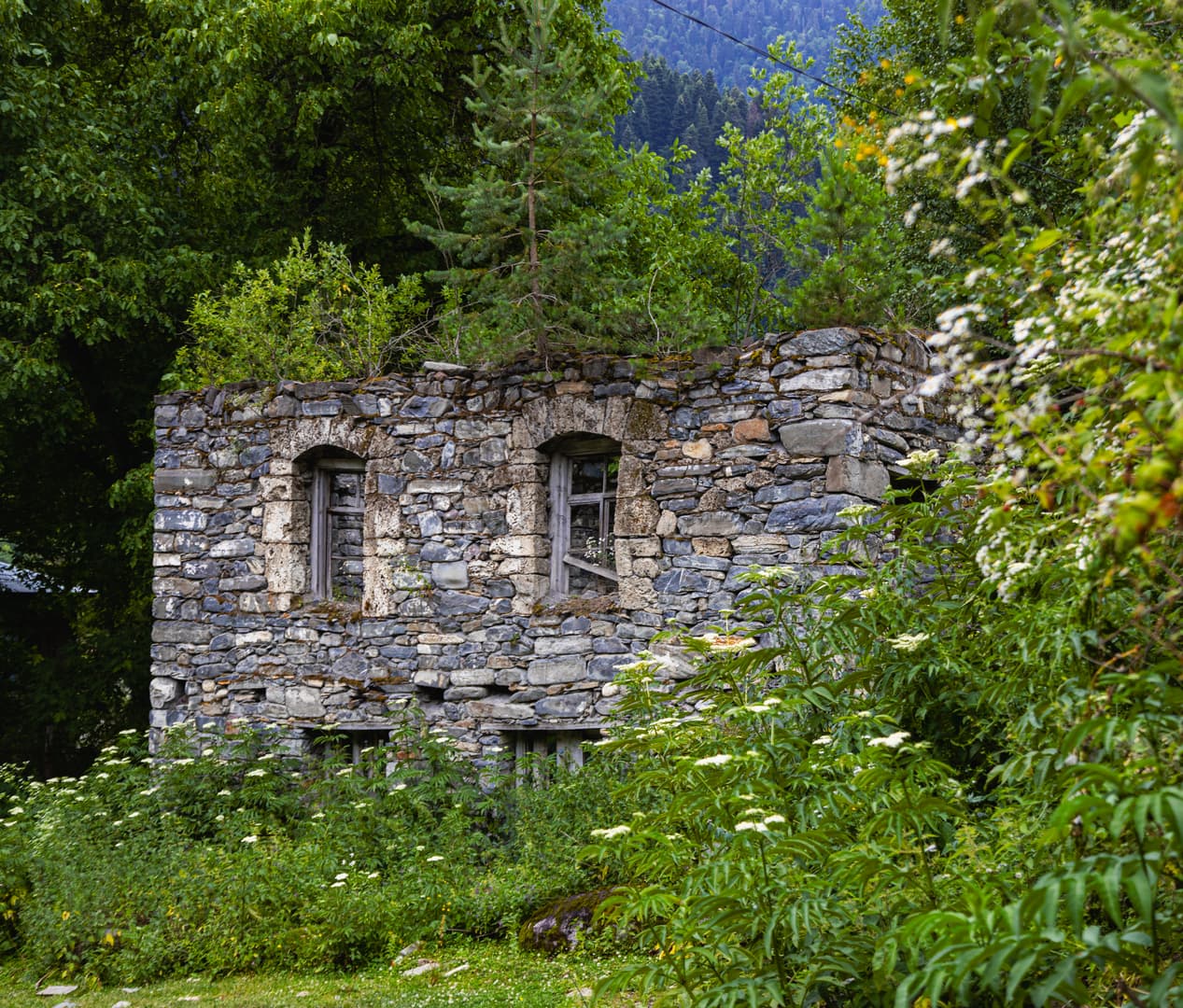 Eco Village in Glola — photo 14