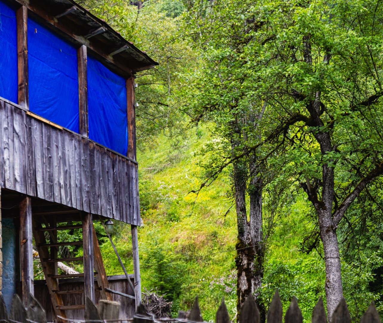 Eco Village in Glola — photo 18