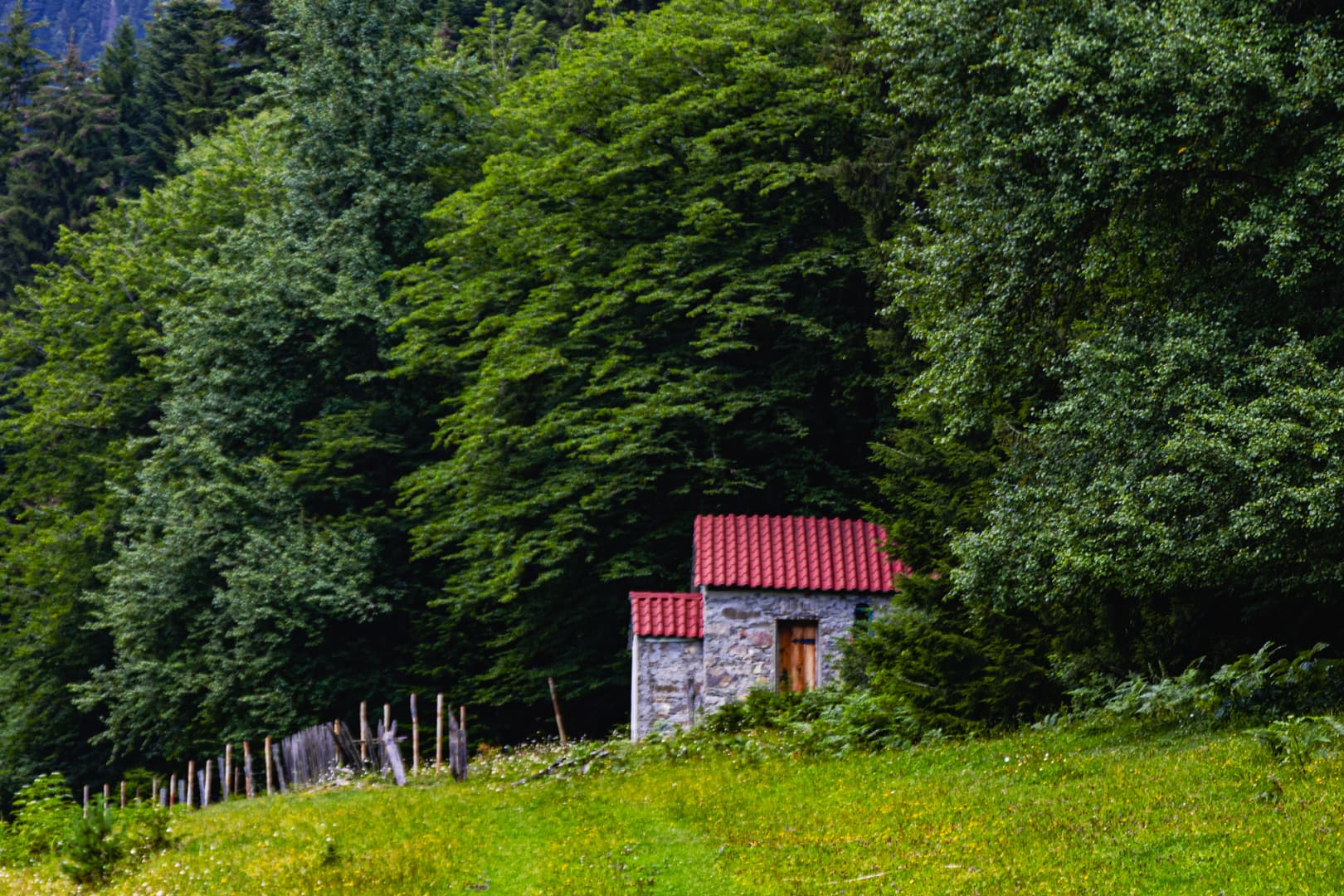 Eco Village in Glola — photo 19