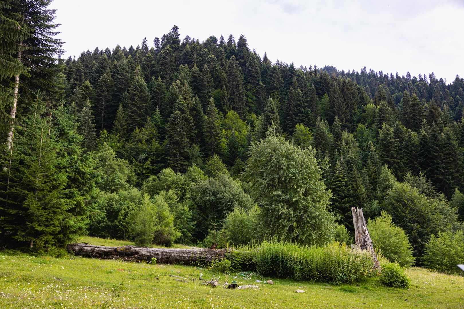 Eco Village in Glola — photo 24